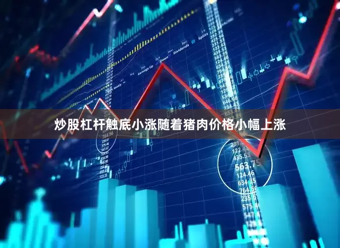 炒股杠杆　　触底小涨　　随着猪肉价格小幅上涨
