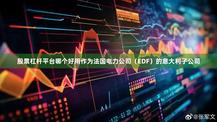 股票杠杆平台哪个好用作为法国电力公司（EDF）的意大利子公司